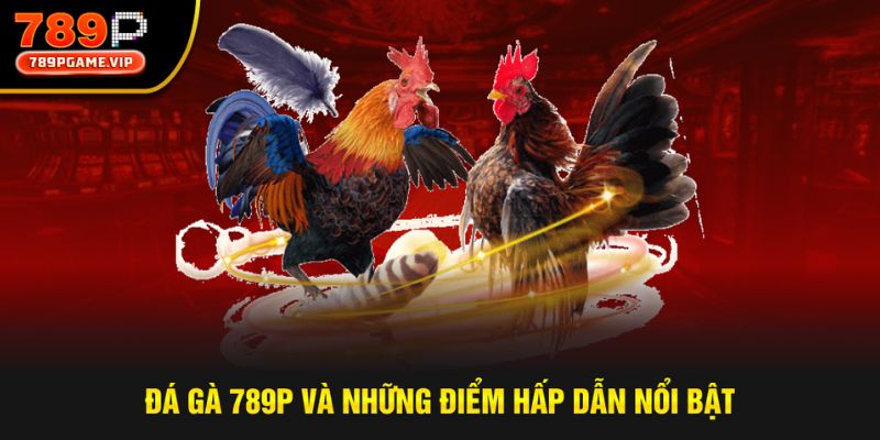 Top các ưu điểm hấp dẫn của sảnh chơi